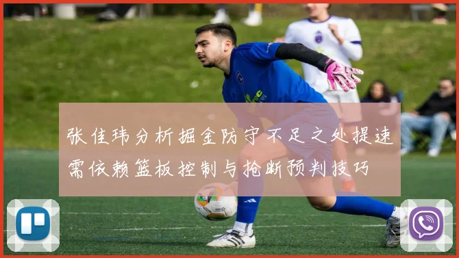 张佳玮分析掘金防守不足之处提速需依赖篮板控制与抢断预判技巧