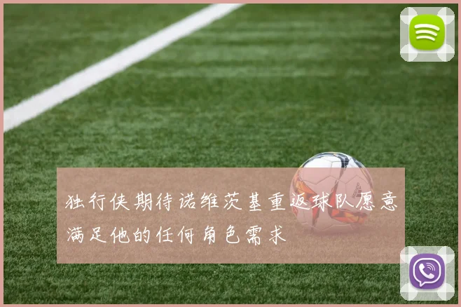 独行侠期待诺维茨基重返球队愿意满足他的任何角色需求