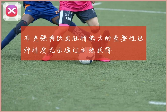 布克强调狄龙独特能力的重要性这种特质无法通过训练获得