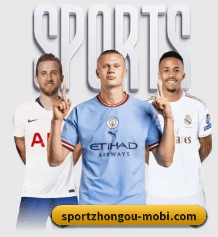 五个功能入口,赛程查询路径更短 | ZOSPORTS